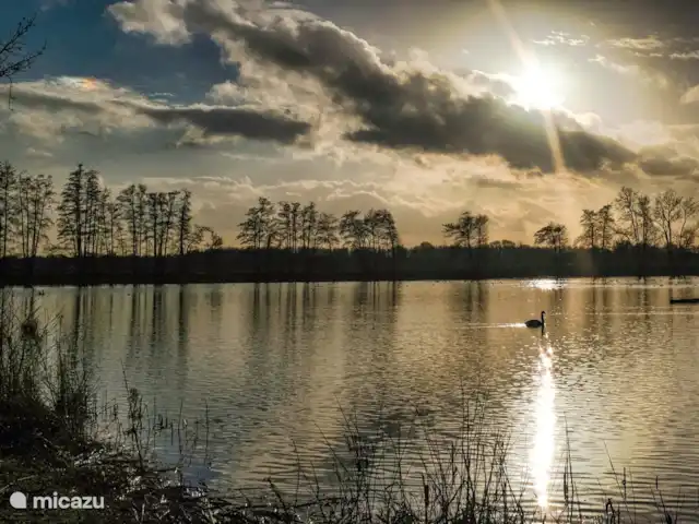 Location de Vacances Pays-Bas, Brabant-Septentrional, Boxmeer, maison de vacances - Loge du Haut Werveld