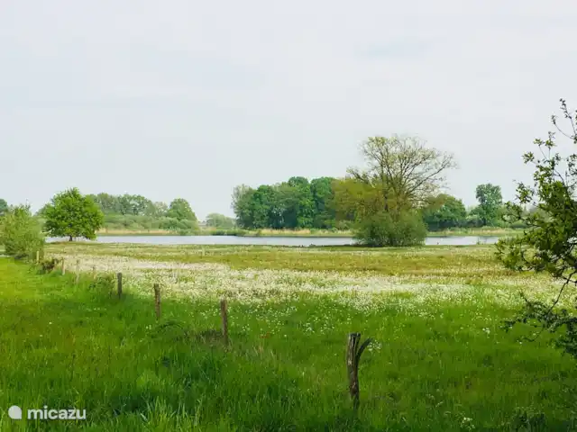 Location de Vacances Pays-Bas, Brabant-Septentrional, Boxmeer, maison de vacances - Loge du Haut Werveld