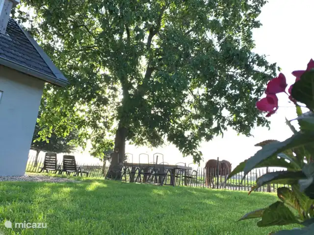 Location de Vacances Pays-Bas, Brabant-Septentrional, Boxmeer, maison de vacances - Loge du Haut Werveld jardin