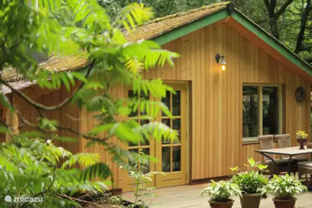 Vakantiehuis Nederland, Limburg, Swolgen vakantiehuis De Bosrank Vakantiehuis Nederland, Limburg, Swolgen vakantiehuis De Bosrank