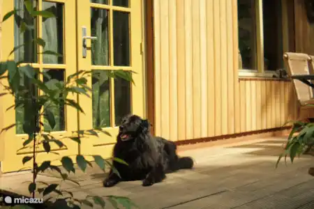 Vakantiehuis Nederland, Limburg, Swolgen vakantiehuis De Bosrank