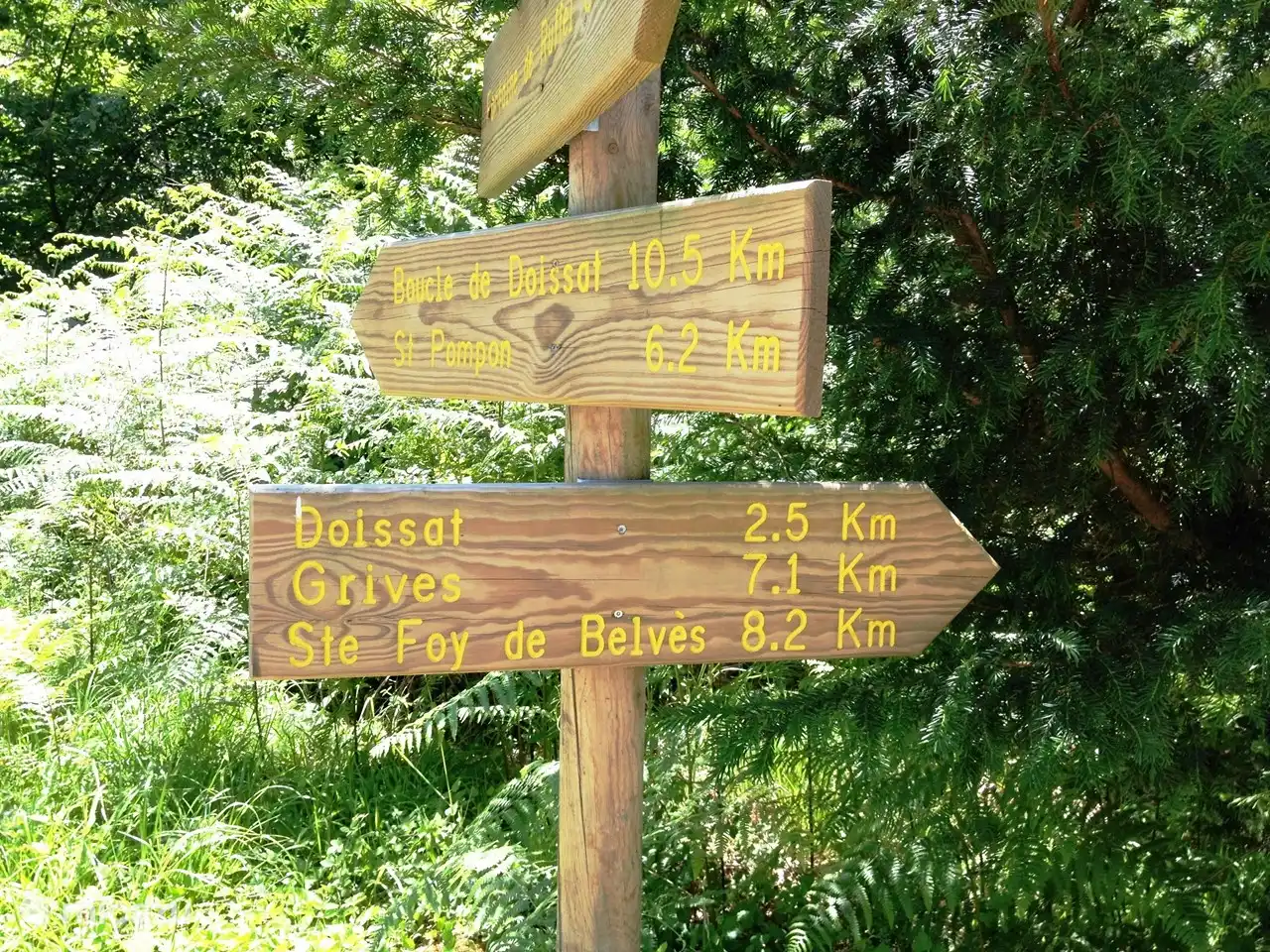 Inscrivez-vous avec les distances pour les promenades