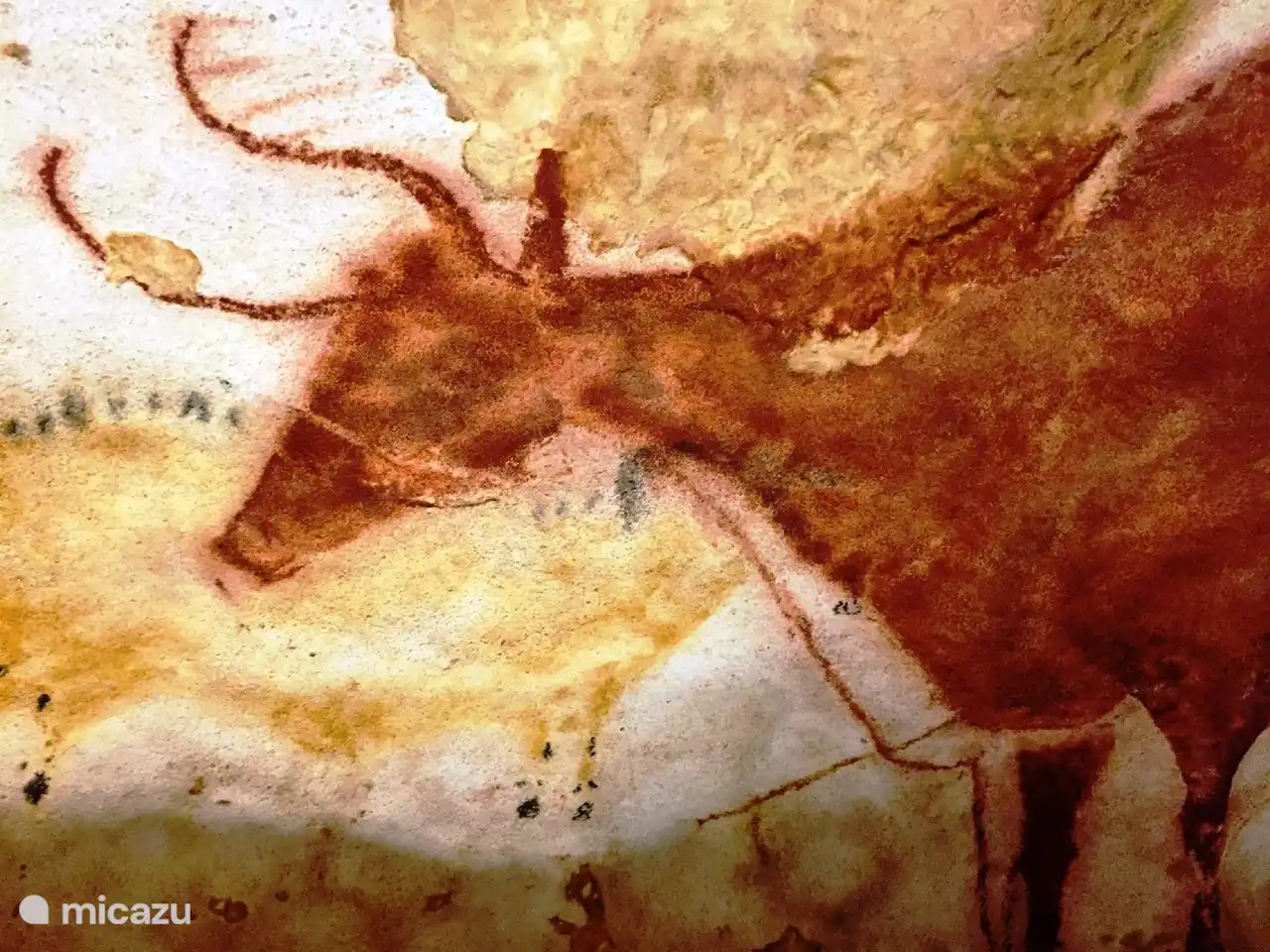 Près de Lascaux, les grottes préhistoriques aux dessins
