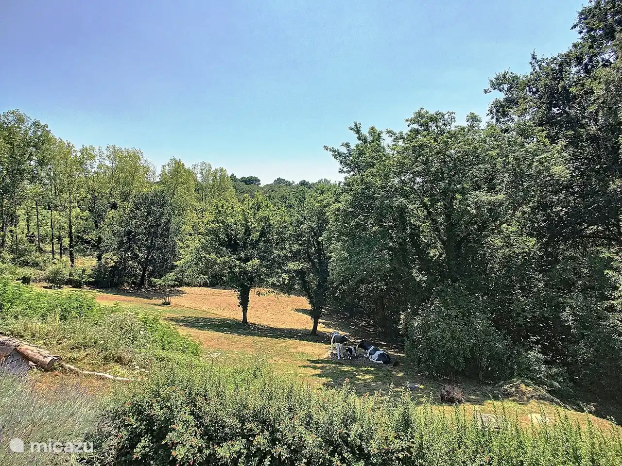 Nach Süden ausgerichteter Garten