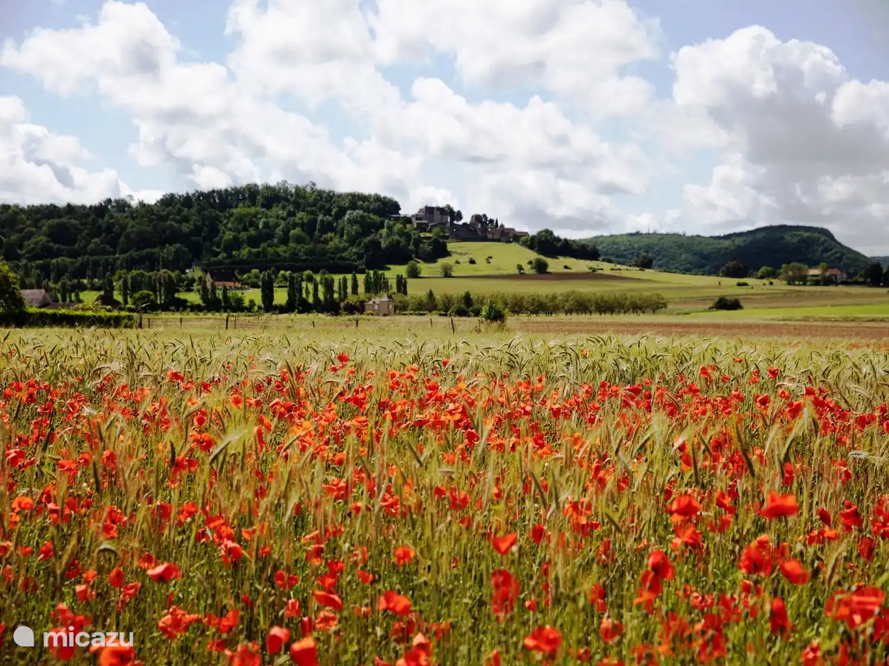 bei Spaziergängen sehen