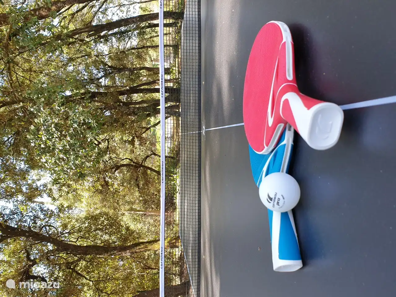 Ping pong table in the garden