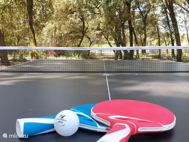 Villa Couronne huren in Frankrijk, Gard, Uzès - villa Pingpong tafel in de tuin