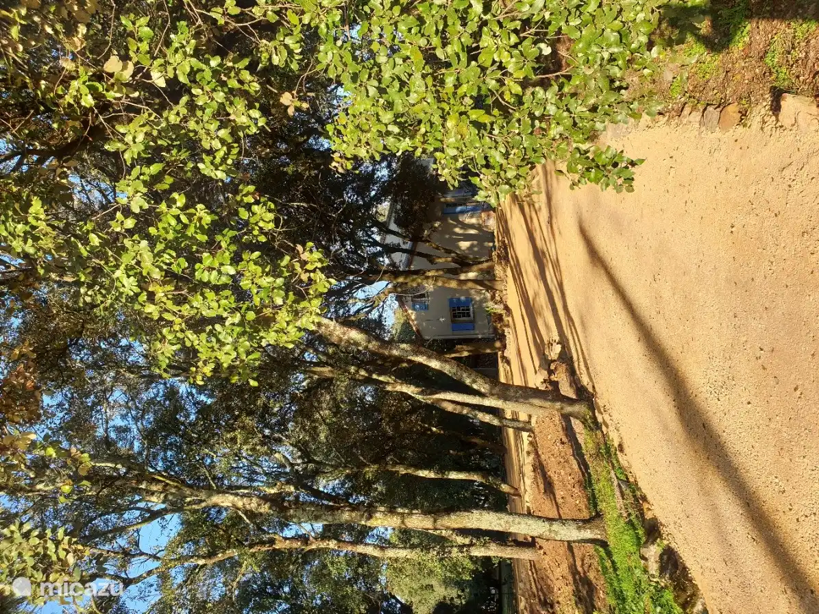 Garden path leading to the house.