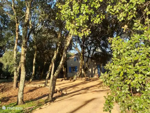 Villa Couronne huren in Frankrijk, Gard, Uzès - villa Tuinpad leidend naar het huis.