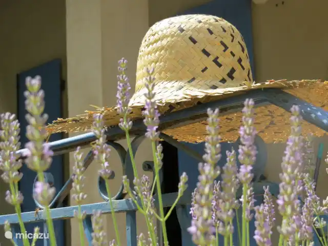 Villa Couronne huren in Frankrijk, Gard, Uzès - villa La douce France!