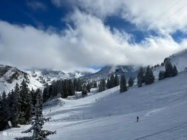 Le Hameau des 4 Saisons huren in Frankrijk, Haute-Savoie, Chatel - appartement