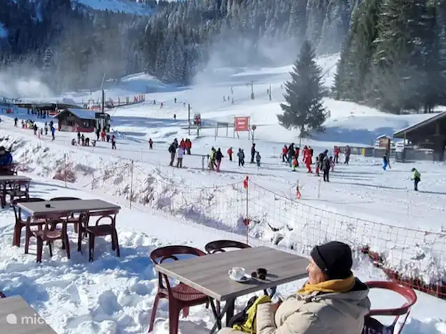 Le Hameau des 4 Saisons huren in Frankrijk, Haute-Savoie, Chatel - appartement Beneden bij de Pierre Longue, het terras van La Perdrix Blanche