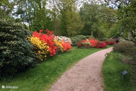 The Arboretum at the Lutte