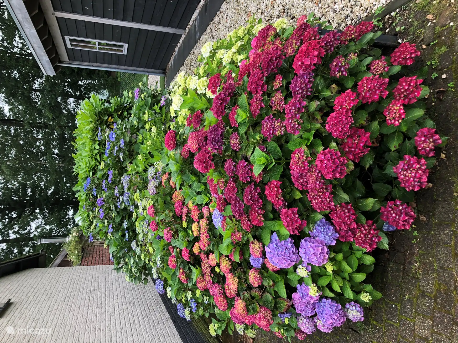 Ein Blumenmeer am Eingang