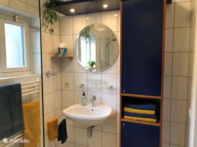 Location de Vacances Pays-Bas, Overijssel, De Lutte, maison de vacances - Dinkelhuuske La salle de bain attenante