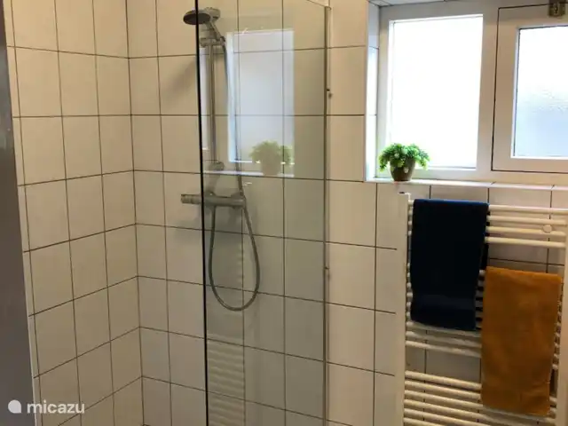 Location de Vacances Pays-Bas, Overijssel, De Lutte, maison de vacances - Dinkelhuuske Une douche à l'italienne confortable