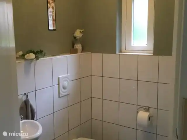 Location de Vacances Pays-Bas, Overijssel, De Lutte, maison de vacances - Dinkelhuuske Un WC spacieux près de la chambre