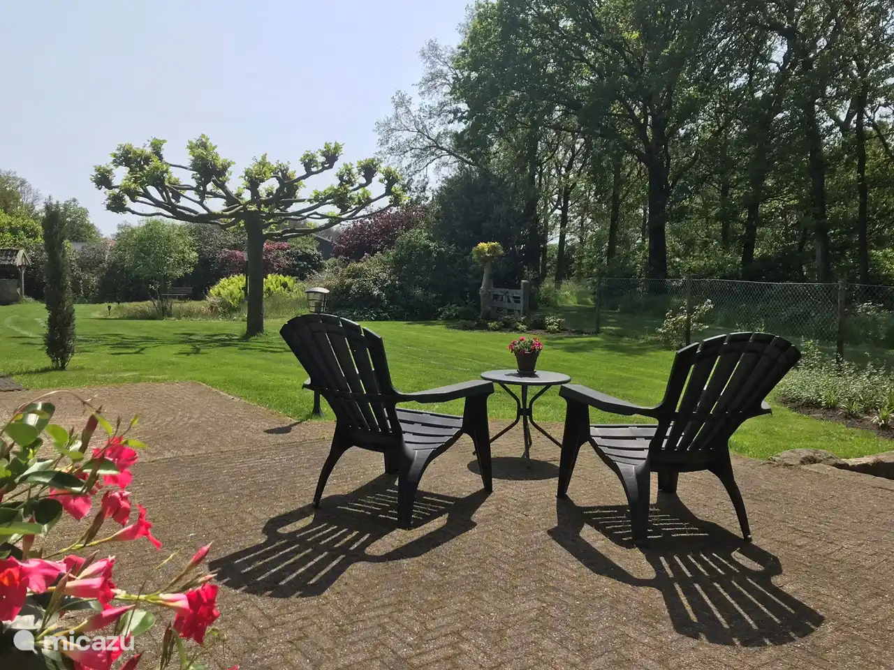 Ein schöner Blick in den Garten