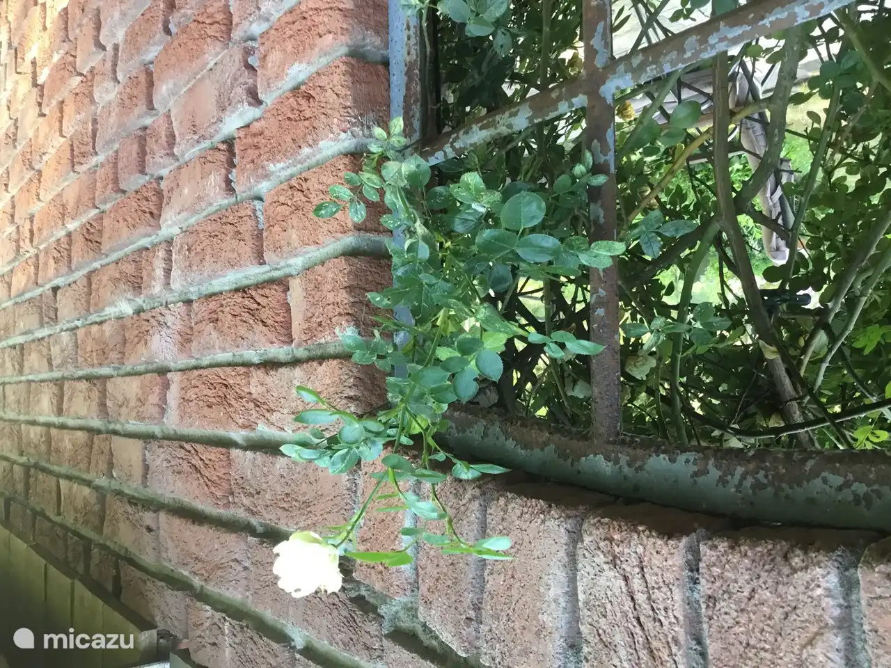 Das Terrassendach ist mit schönen alten Elementen ausgestattet