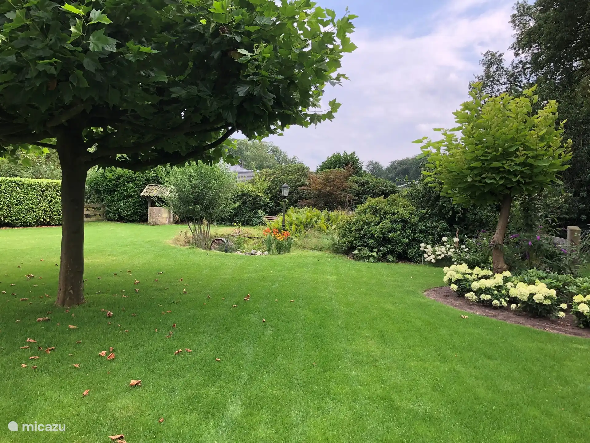 Ein Blick von der Seite des Gartens