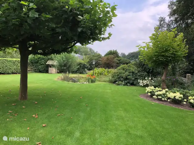 Location de Vacances Pays-Bas, Overijssel, De Lutte, maison de vacances - Dinkelhuuske Une vue du côté du jardin
