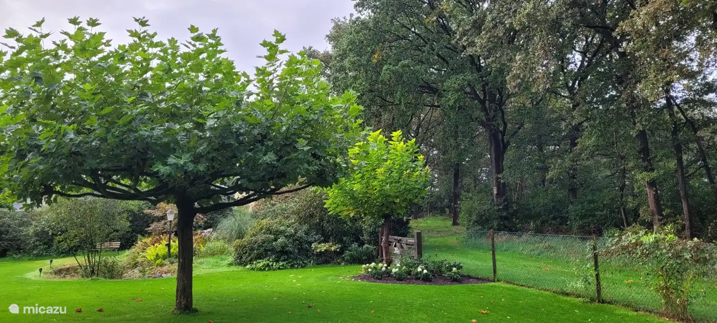 Blick auf den Garten