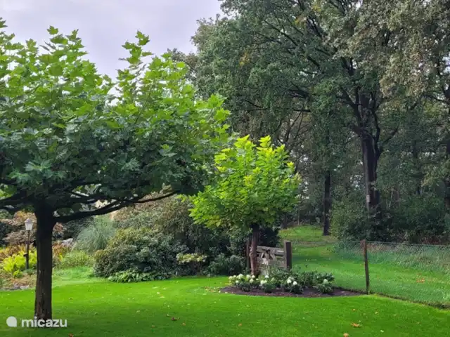 Location de Vacances Pays-Bas, Overijssel, De Lutte, maison de vacances - Dinkelhuuske Vue sur le jardin