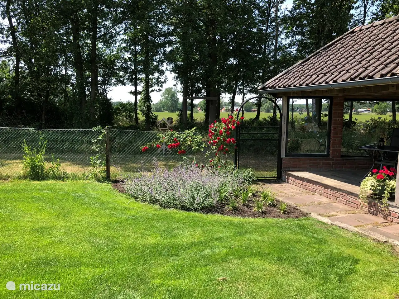 Die wunderschöne rote Kletterrose mit Blick auf das Dinkeltal.