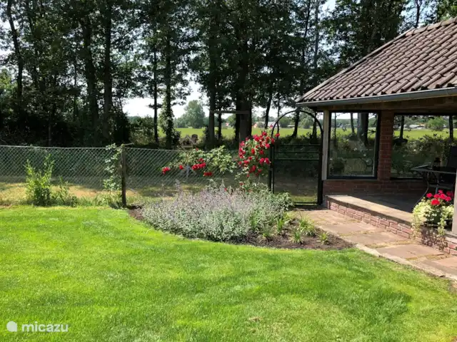 Location de Vacances Pays-Bas, Overijssel, De Lutte, maison de vacances - Dinkelhuuske La belle rose grimpante rouge avec vue sur la vallée de Dinkel.
