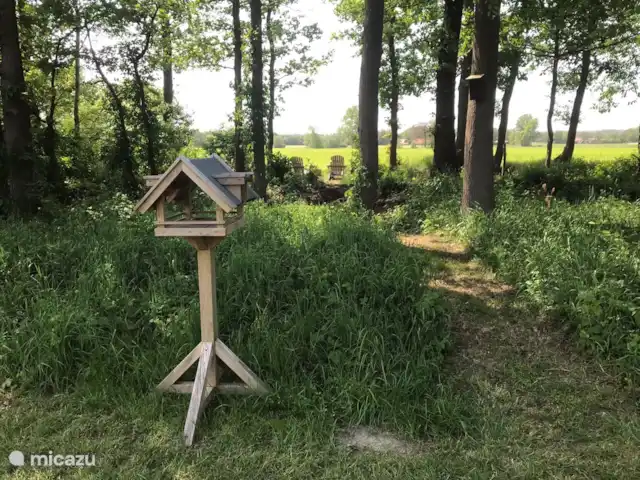 Location de Vacances Pays-Bas, Overijssel, De Lutte, maison de vacances - Dinkelhuuske De la maison une belle vue sur la vallée de Dinkel.