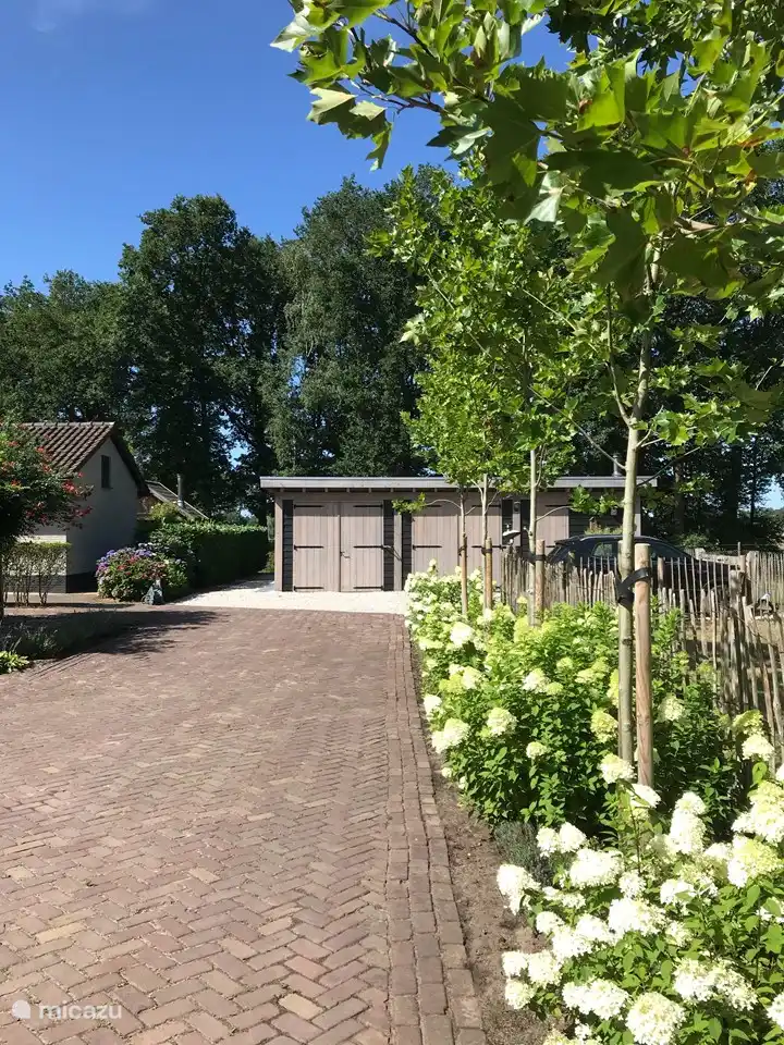 Die Platanen, Hortensien in voller Blüte