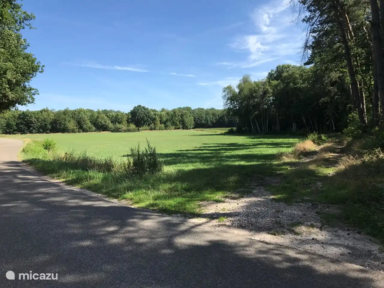 Auf der anderen Straßenseite in Richtung Wald spazieren