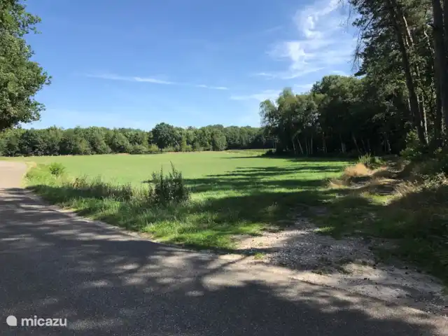 Location de Vacances Pays-Bas, Overijssel, De Lutte, maison de vacances - Dinkelhuuske De l'autre côté de la route vers la forêt pour une promenade