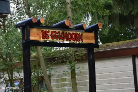 Vakantiehuis Nederland, Gelderland, Putten - chalet Chalet De Eekhoorn