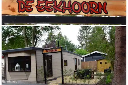 Vakantiehuis Nederland, Gelderland, Putten - chalet Chalet De Eekhoorn