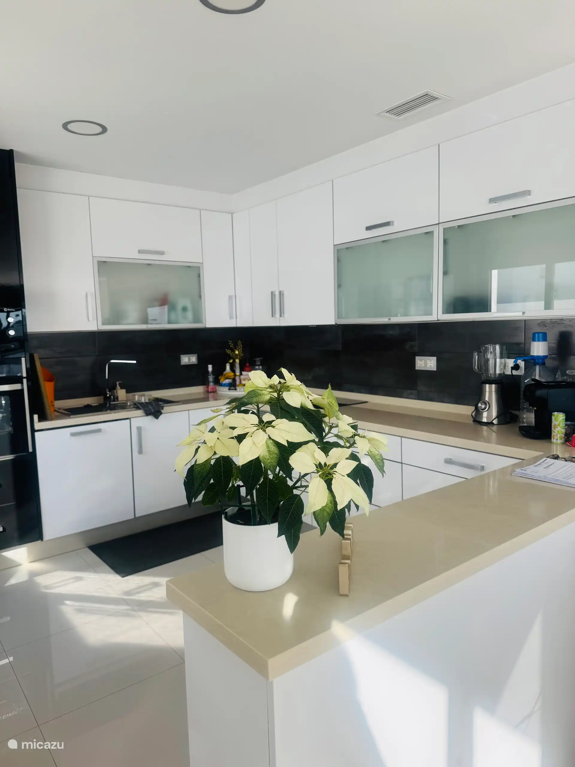 Cuisine ouverte moderne 