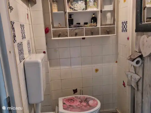Location de Vacances Pays-Bas, Gueldre, Nunspeet, bungalow - Calando Toilette