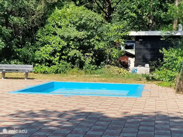 Location de Vacances Pays-Bas, Gueldre, Nunspeet, bungalow - Calando piscine pour enfants
