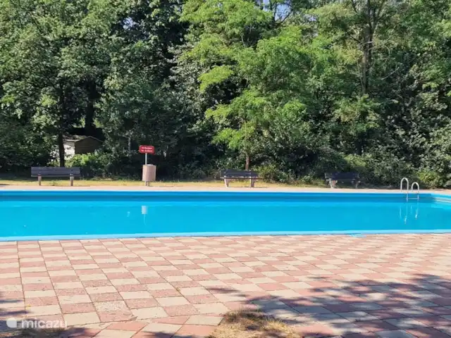 Location de Vacances Pays-Bas, Gueldre, Nunspeet, bungalow - Calando grande piscine