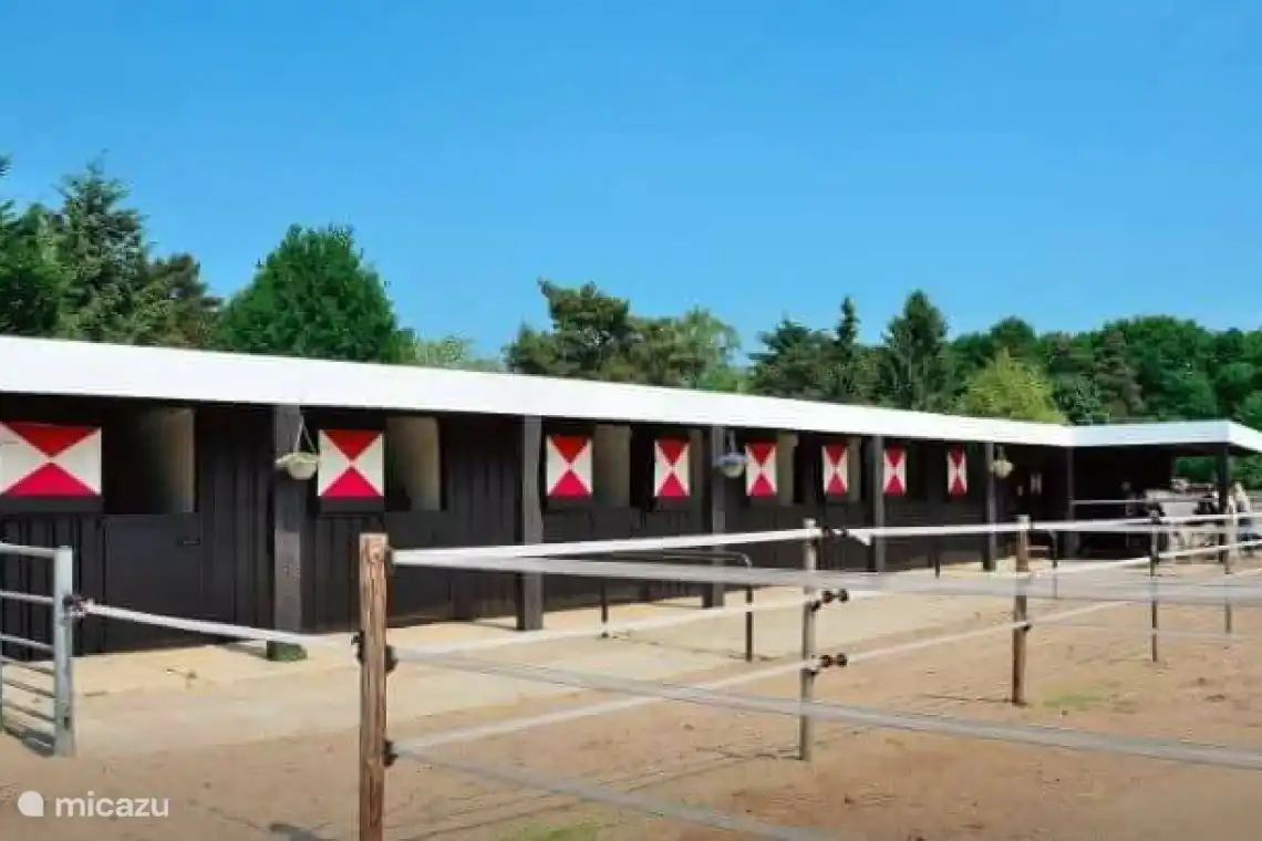 Reitschule De Wiie Wieven, wo Sie auch Ihr eigenes Pferd mitbringen können
Oder mieten Sie es für tolle Waldfahrten
In unserer wunderschönen Umgebung, die für die Kinder gestaltet werden kann, gibt es auch Ponys zum Spazierengehen