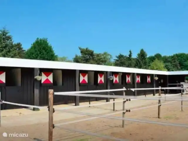 Location de Vacances Pays-Bas, Gueldre, Nunspeet, bungalow - Calando école d'équitation de wiie wieven où vous pouvez également amener votre propre cheval
Ou louer pour de belles balades en forêt
Dans notre bel environnement, qui peut être aménagé pour les enfants, il y a aussi des poneys à promener