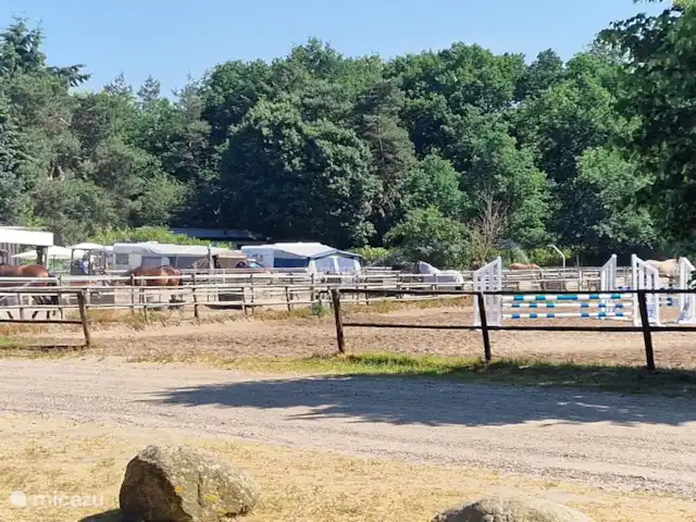 Location de Vacances Pays-Bas, Gueldre, Nunspeet, bungalow - Calando abreuvoir pour chevaux