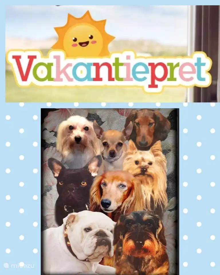 Gerne können wir auch einen schönen Feiertag genießen oder einen ruhigen Silvesterabend ohne feiern
Feuerwerk!
5 € pro Tag und Haustier