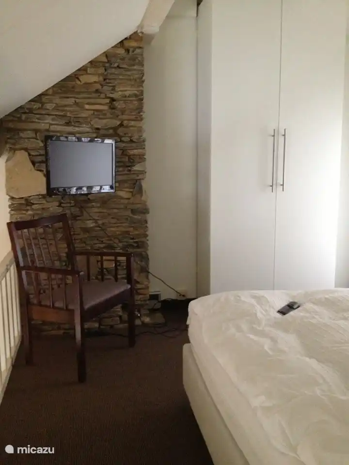 ein Schlafzimmer mit TV