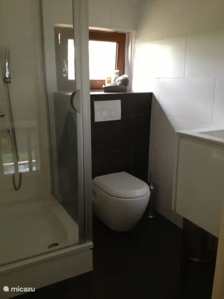 Badezimmer mit Dusche, Toilette und Waschbecken