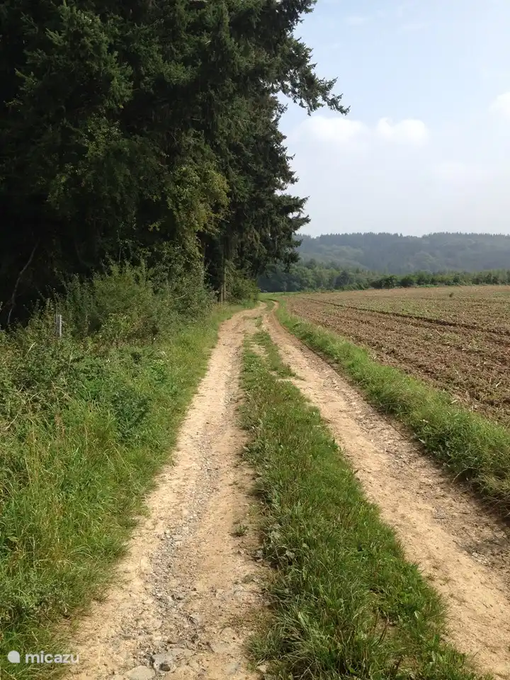 viele Wandergebiete in der Nähe