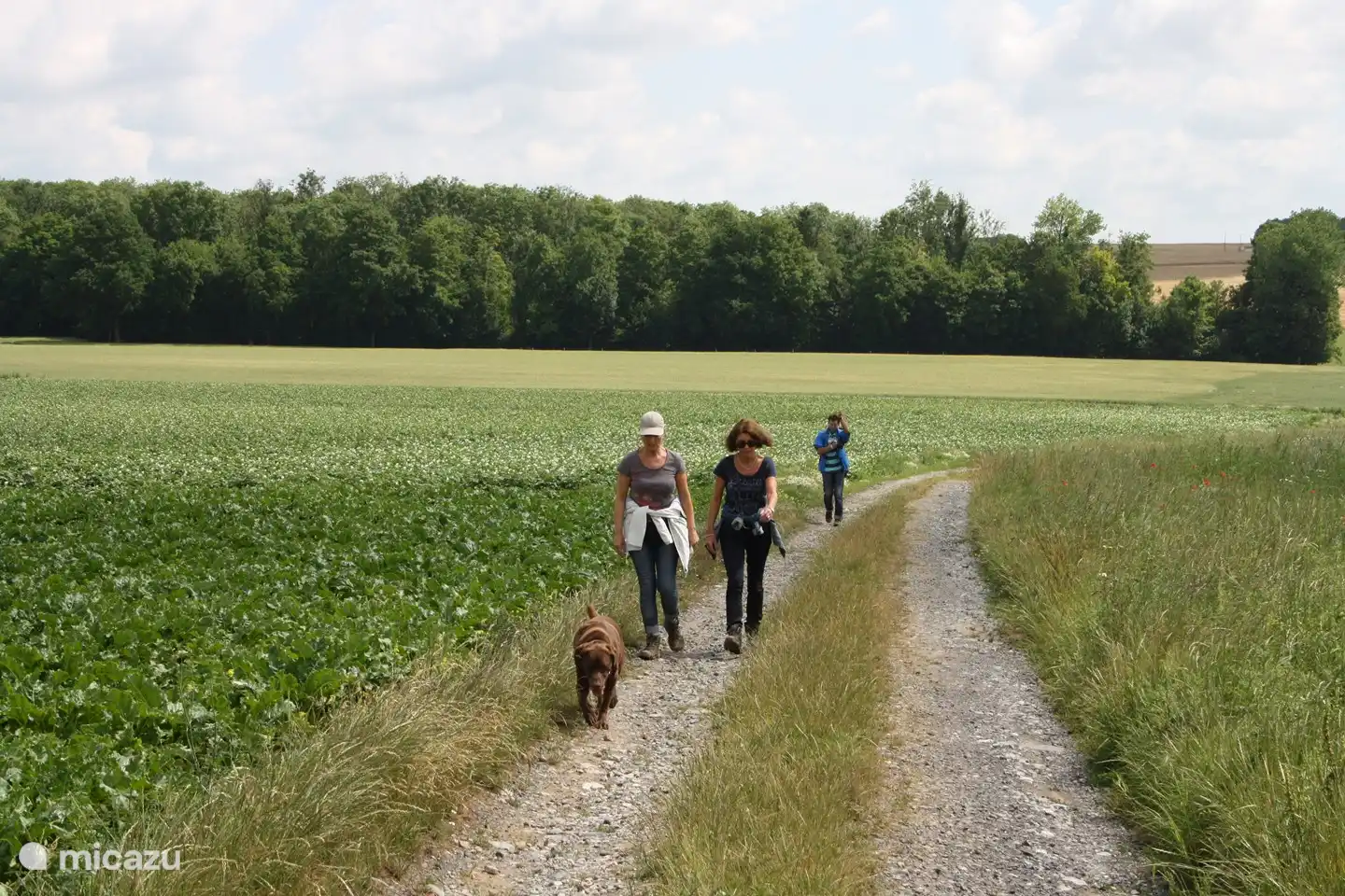 viele Wandergebiete in der Nähe