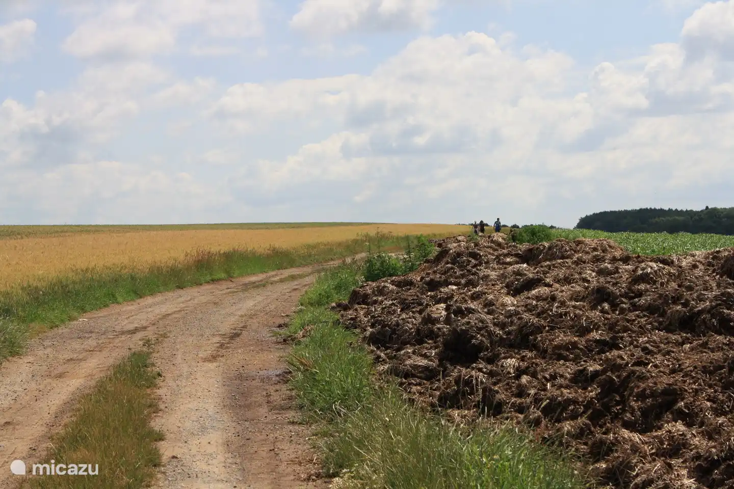 viele Wandergebiete in der Nähe