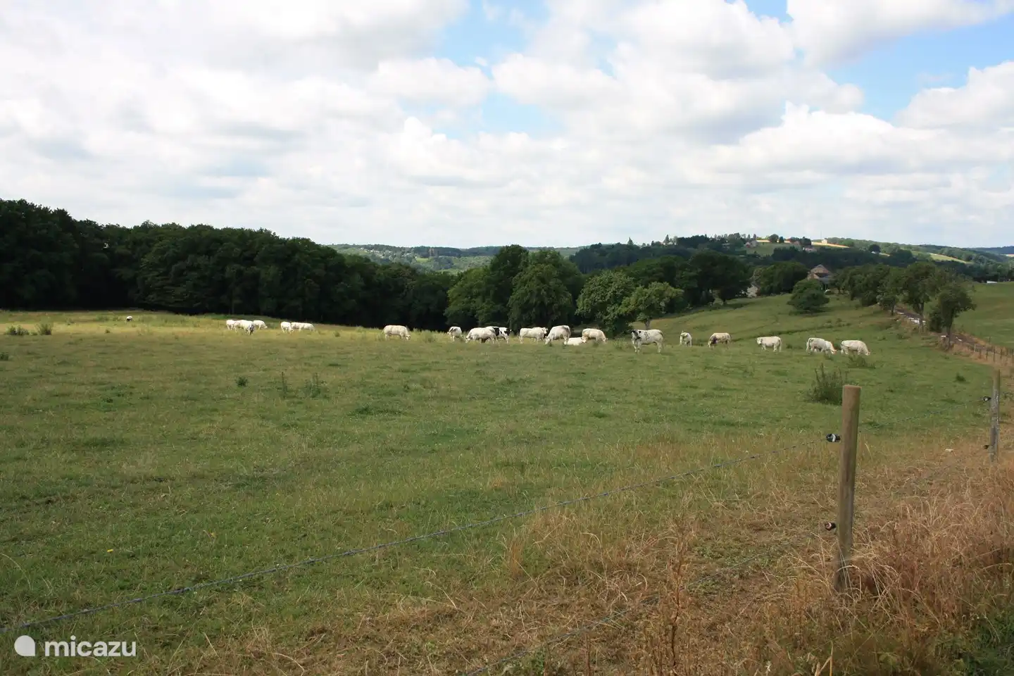 viele Wandergebiete in der Nähe