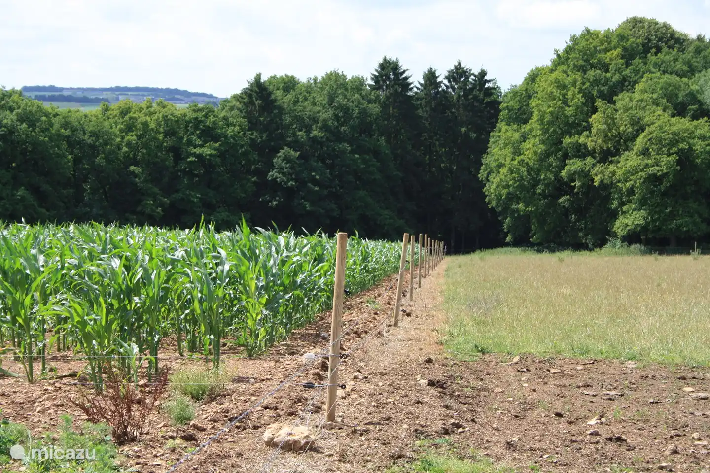 viele Wandergebiete in der Nähe